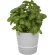 Maceta para cocina Herbs Gris
