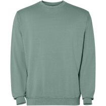 Sudadera unisex Jaya Roly acabado lavado ácido