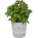 Maceta para cocina Herbs Gris detalle 4