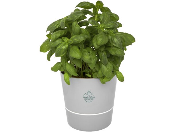 Maceta para cocina Herbs Gris detalle 4