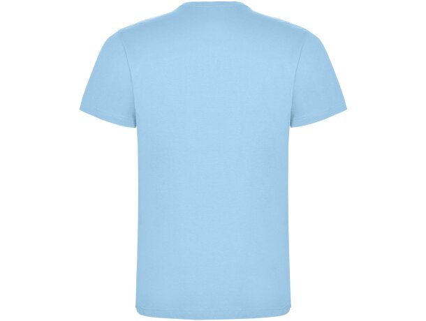 Camiseta manga corta infantil Dogo Premium Roly en algodón Azul celeste detalle 6