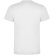 Camiseta manga corta infantil Dogo Premium Roly en algodón Blanco detalle 3