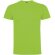 Camiseta manga corta infantil Dogo Premium Roly en algodón Verde oasis