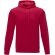 Sudadera con capucha Charon para hombre con interior afelpado Rojo detalle 8