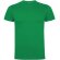 Camiseta manga corta infantil Dogo Premium Roly en algodón Verde tropical