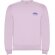 Sudadera cuello redondo infantil Roly Clasica 280 g/m² Rosa claro detalle 28