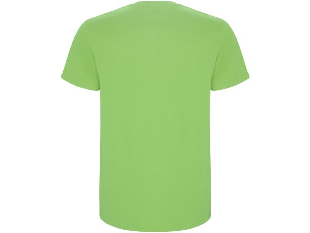 Camiseta manga corta hombre Stafford Roly algodón 190 g/m² detalle 26