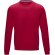 Jersey cuello redondo orgánico hombre Jasper Rojo detalle 6