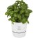 Maceta para cocina Herbs Blanco detalle 1