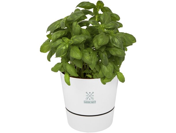 Maceta para cocina Herbs Blanco detalle 1