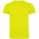 Camiseta manga corta infantil Dogo Premium Roly en algodón Lima limón