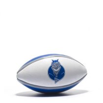 Pelota de rugby Pelota de rugby