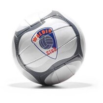 Pelota de vóley de pista cerrada Pelota de vóley de pista cerrada