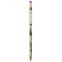 Lápiz de grafito de resina con materiales reciclados de la marca Bic personalizado Lápiz de grafito de resina con materiales reciclados de la marca Bic personalizado