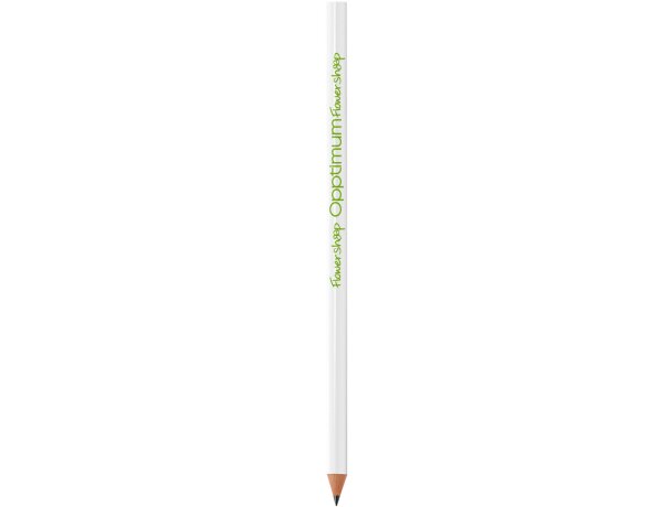 Lápiz de resina ecológico Bic barato