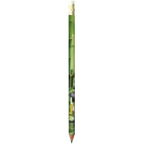 Lápiz de grafito sin madera de la marca Bic personalizado Lápiz de grafito sin madera de la marca Bic personalizado