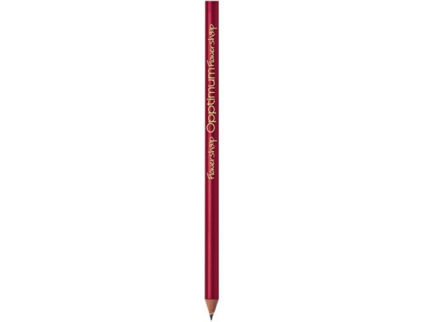 Bic Lápiz personalizado