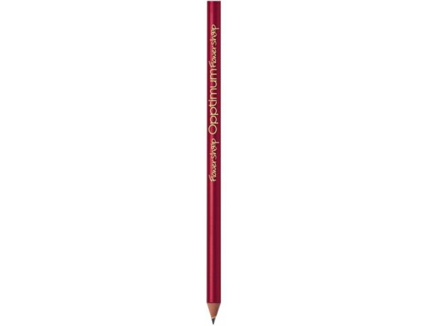 Lápiz Bic® Evolution Classic Cut Ecolutions personalizado rojo