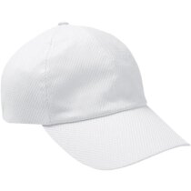 Gorras de béisbol de algodón 250 g/m2 con rejilla