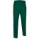 Pantalón Largo de deporte Valento verde