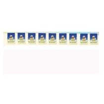 Tiras de banderines de papel plastificado personalizada Tiras de banderines de papel plastificado personalizada