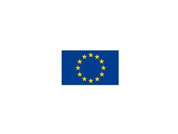 Bandera europea de poliéster personalizada