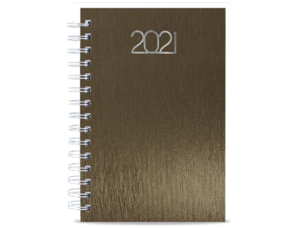 Agenda Metalizada Raki dia página Multicolor detalle 5