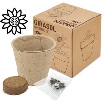 Maceta personalizable con semillas de girasol en cartón