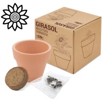 Maceta de terracota con semillas de girasol