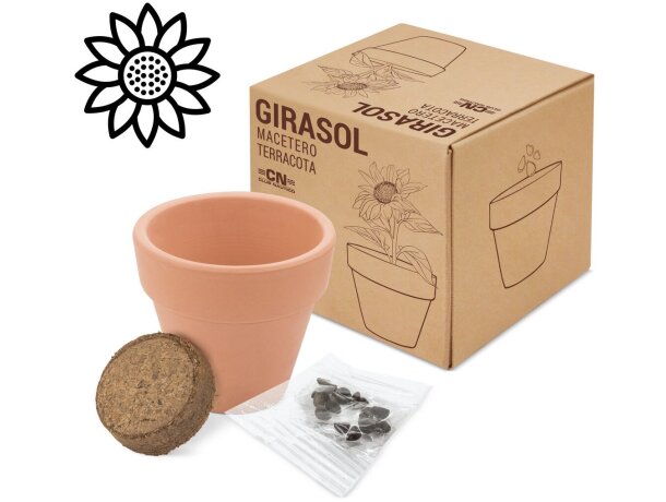 Maceta de terracota con semillas de girasol
