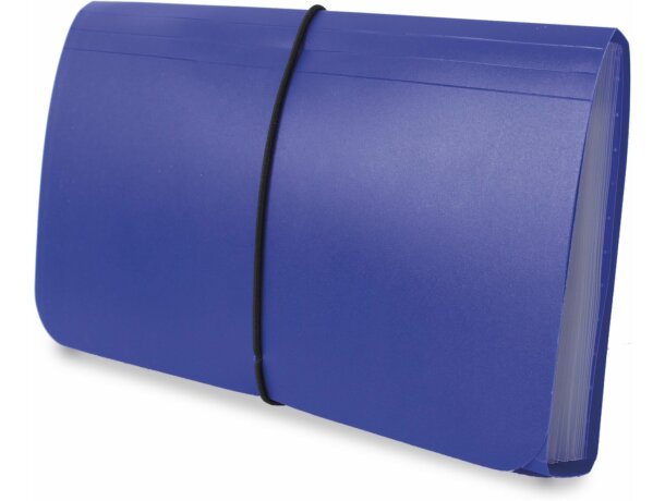 Carpeta clasificadora de recibos en plástico de colores azul