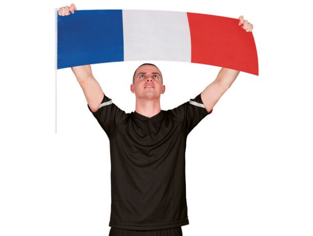 Bandera Supporter alemania francia