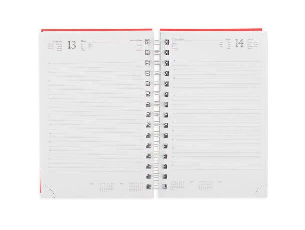 Agenda Metalizada Raki dia página Plomo detalle 7
