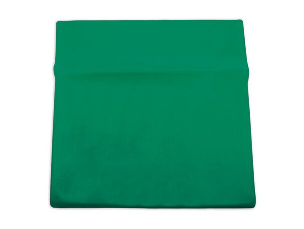 Funda para recetas médicas verde