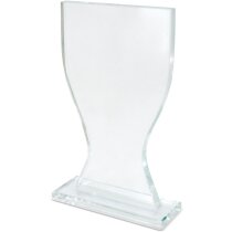 Trofeo Champi cristal pulido con estuche raso