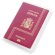 Funda sencilla de pasaporte