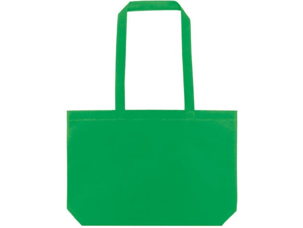 Bolsa Plas verde