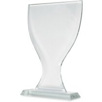 Cristal en forma de copa 13x25.5 cm para grabar personalizado