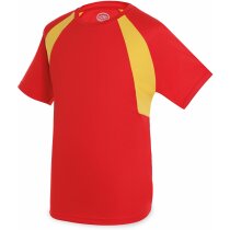 Camiseta técnica colores bandera unisex personalizado Camiseta técnica colores bandera unisex personalizado