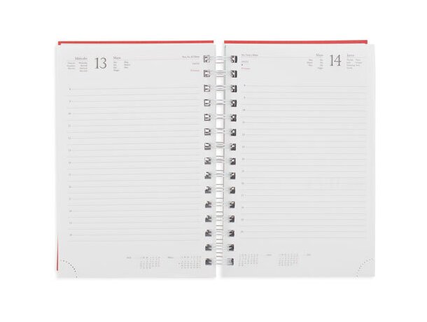 Agenda Metalizada Raki dia página Azul detalle 2