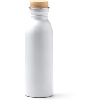 Botellas de acero colores variados 650ml
