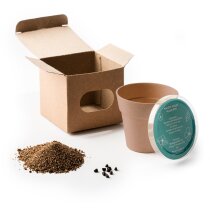 Maceta para regalo de plástico biodegradable con semillas de petunia