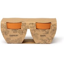 Set maceteros Tulsy natural con semillas