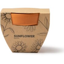 Maceta con semillas de girasol