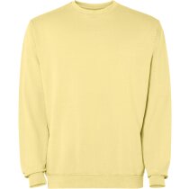 Sudadera Roly Jaya algodón efecto lavado unisex