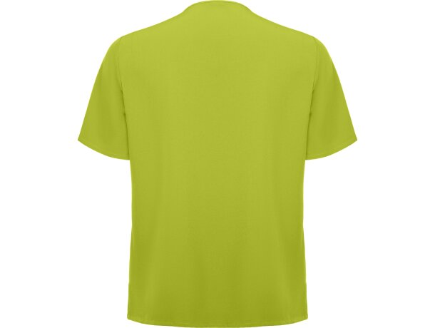 Camiseta FEROX Roly pistacho