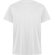 Camiseta DAYTONA Roly blanco