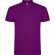 Polo STAR Roly purpura