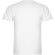 Camiseta manga corta de roly cuello V SAMOYEDO blanco
