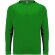 Camiseta PORTO Roly verde helecho/negro